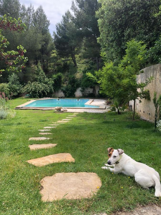 L'Appartement - Jardin Secret Marseille Exterior photo